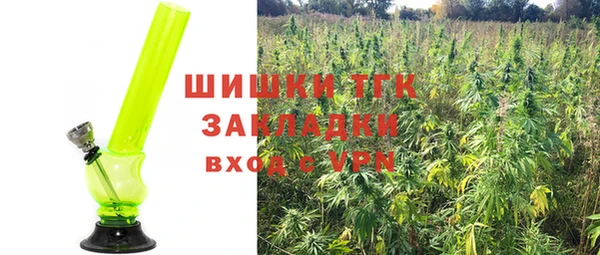 экстази Арсеньев