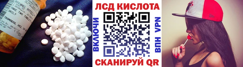 где можно купить наркотик  Сосновоборск  ЛСД экстази ecstasy 